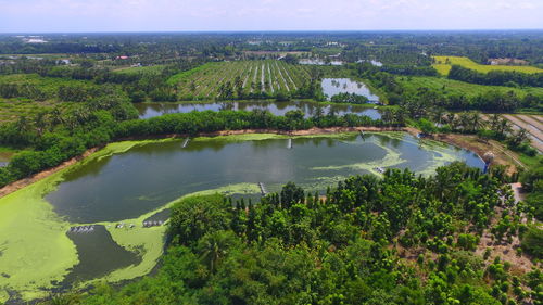 High angle view of trees on landscape against sky