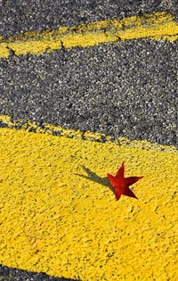 High angle view of yellow maple leaf on road