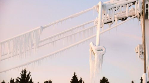 Clothes hanging from tree against sky