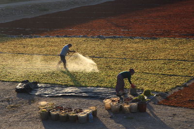 High angle view of man and woman working in farm