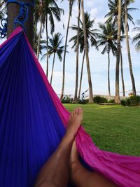 Low section of person on hammock against trees