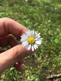 Close-up of hand holding flower