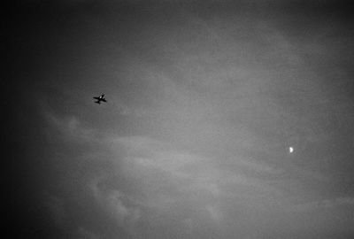 Low angle view of airplane flying in sky