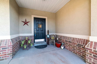 Potted plant on wall of house