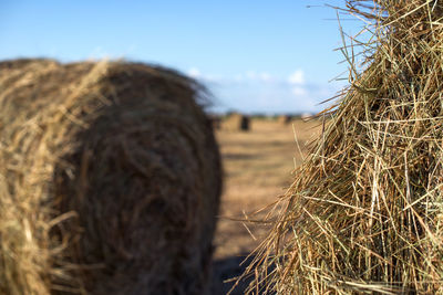 Close-up of hay bales on field against sky