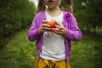 Midsection of girl eating apple while standing in orchard