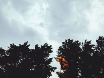 Low angle view of silhouette trees against sky