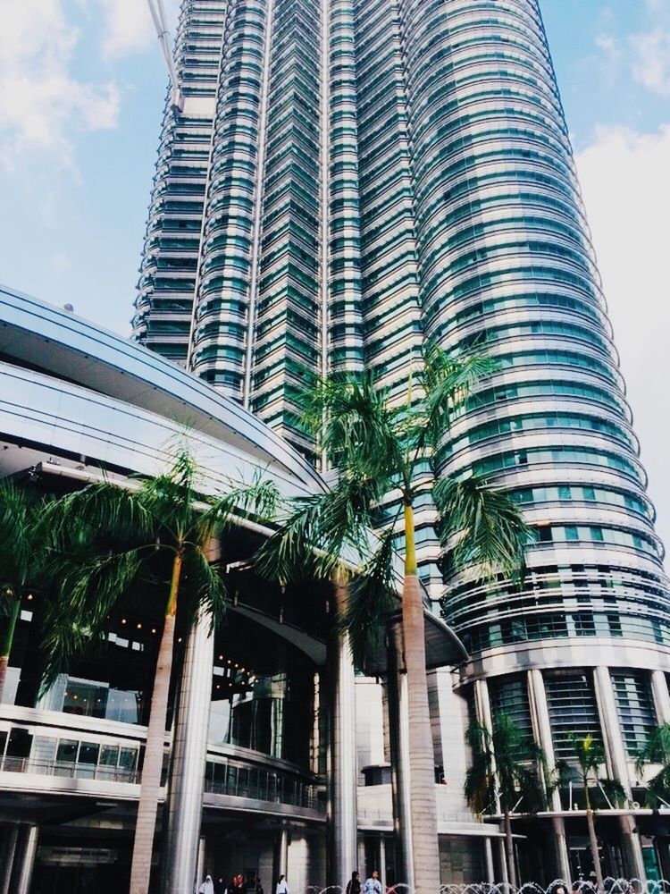 LOW ANGLE VIEW OF PALM TREE AND MODERN BUILDING