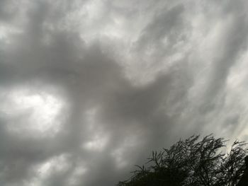 Low angle view of silhouette tree against sky