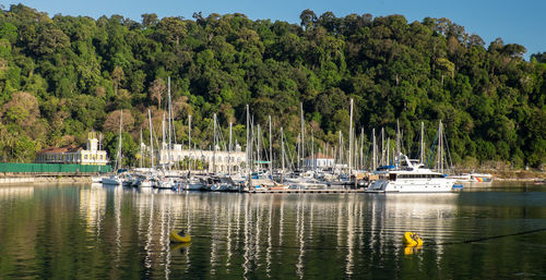 Boats moored at river against forest