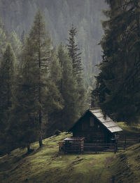 House on mountain in forest