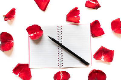 Close-up of red roses against white background