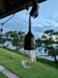 Close-up of light bulb hanging on grass