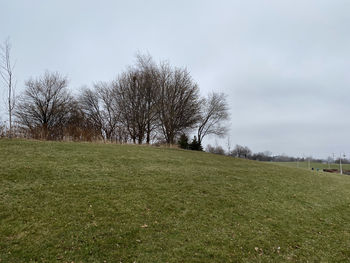 Trees on field against sky