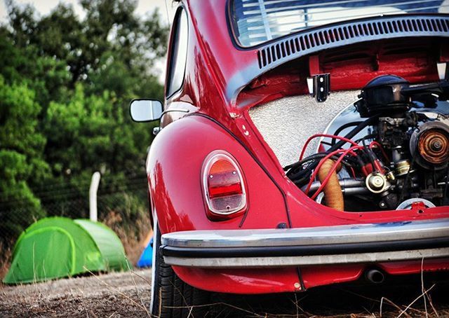 red, transportation, mode of transport, land vehicle, focus on foreground, car, close-up, metal, tree, outdoors, no people, stationary, day, vintage car, abandoned, old-fashioned, old, field, sunlight, retro styled