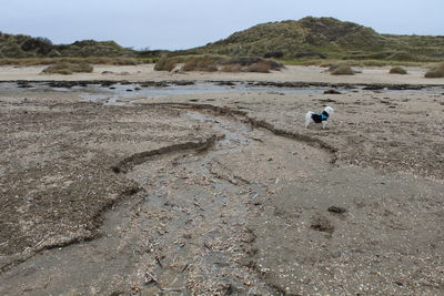 Man on beach against sky
