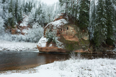 View of frozen waterfall in forest