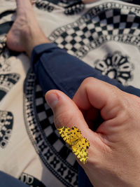 Close-up of hand holding a butterfly