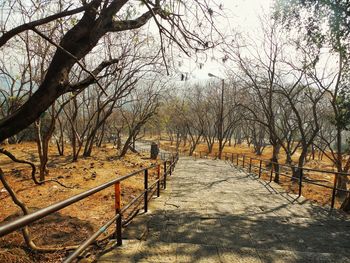 Footpath amidst bare trees against sky