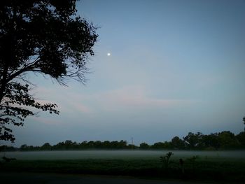 Scenic view of grassy field against sky