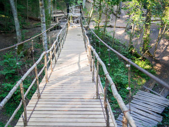 Footbridge amidst trees in forest