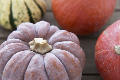 Close-up of pumpkins