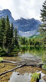 Scenic view of lake in forest against sky