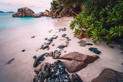 Scenic view of beach against sky