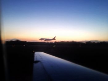 Bird flying in sky at sunset