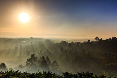 View of landscape against sky during sunrise