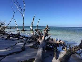 Scenic view of sea against clear blue sky