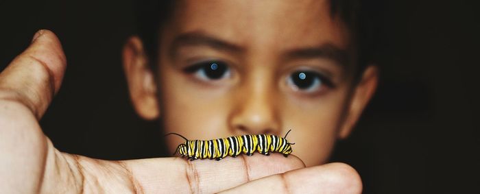 Boy looking at hand holding monarch butterfly caterpillar against black background