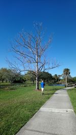 Rear view of man walking on road against blue sky