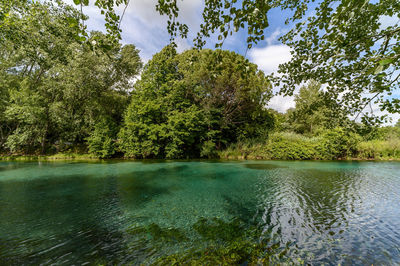 Scenic view of lake in forest against sky