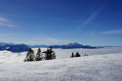 Scenic view of landscape against blue sky during winter