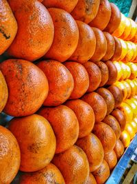 Close-up of orange