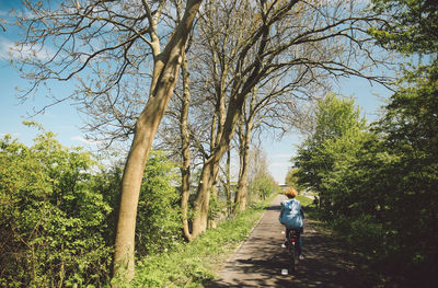 Rear view of woman riding bicycle on road amidst trees and plants