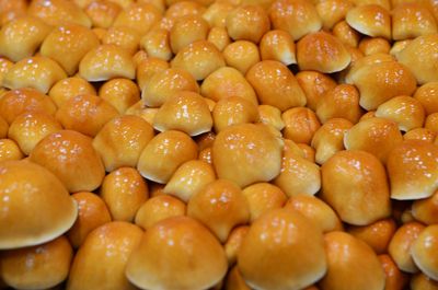 Full frame shot of potatoes