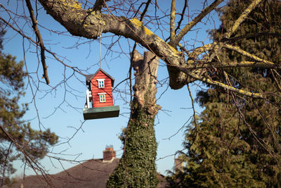 Low angle view of birdhouse on tree against building