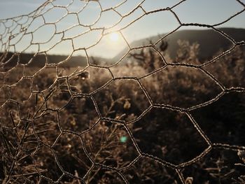 Full frame shot of chainlink fence