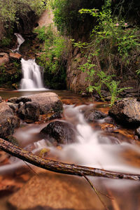 View of waterfall in forest