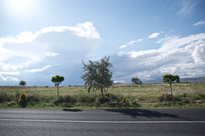 Road by trees against sky