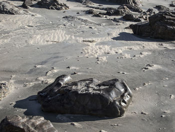 High angle view of rocks on beach