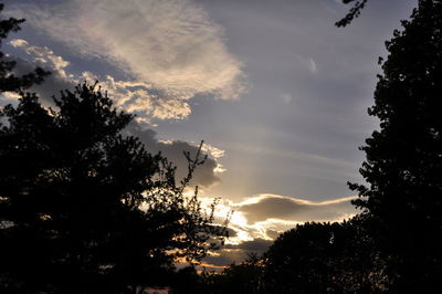 Low angle view of silhouette trees against sky