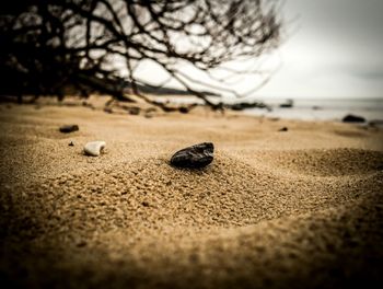 Surface level of beach