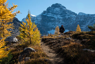 Rear view of man on rock against sky