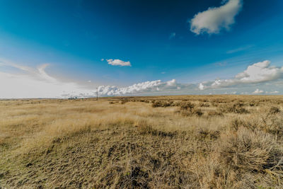 Scenic view of field against sky