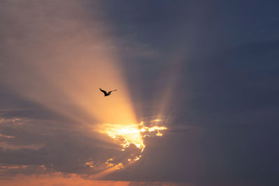 sky
