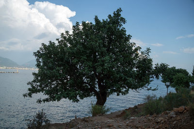 Scenic view of sea against cloudy sky