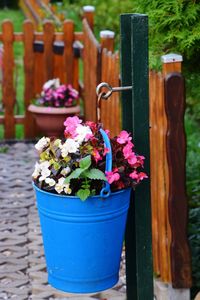 Close-up of potted plant by fence against plants